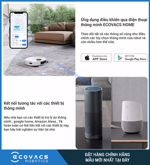 t9 plus quốc tế